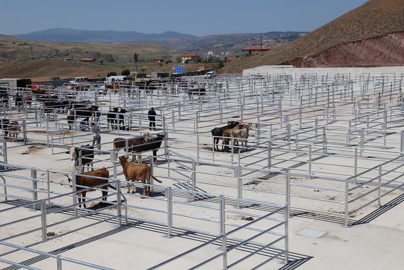 cankiri-modern-hayvan-pazari-resim-061.jpg