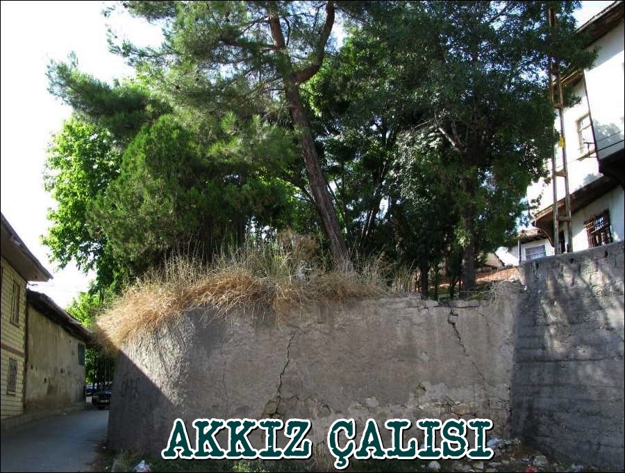 akkiz-calisi-cankiri-resim-01.jpg