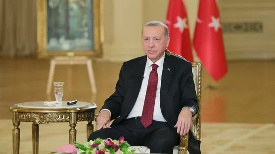 erdogan-resim-03.jpg