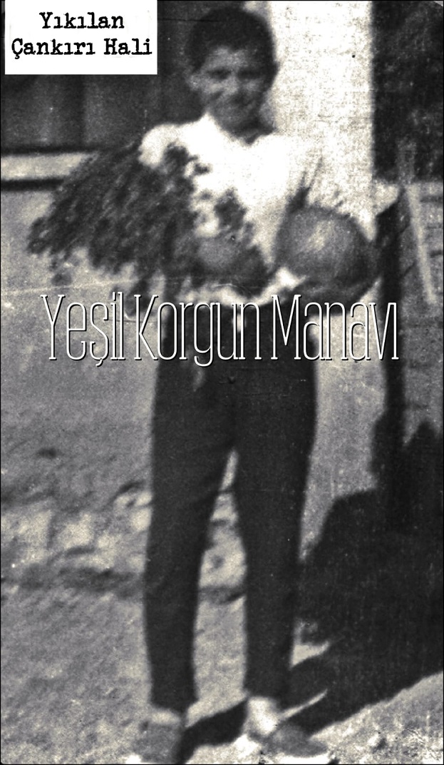 metin-yilmaz-yesil-korgun-manavi-resim-04.jpg