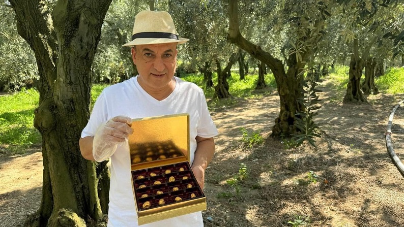 levent-usluer-altin-zeytin-resim-05.jpg