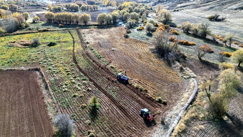 cankiri-belediye-patates-tarlasi-kasim-sozcu18-resim-011.jpg