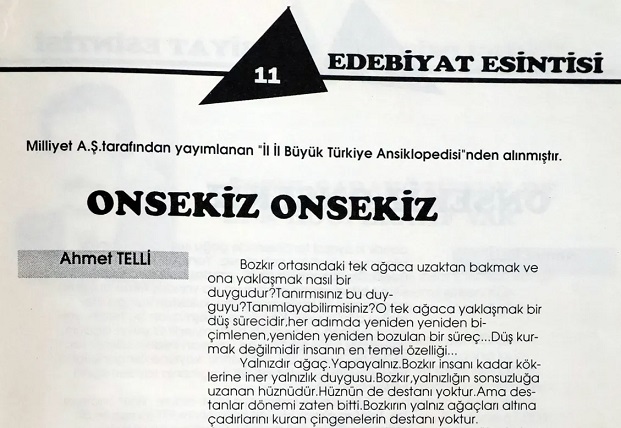 onsekiz-onsekiz-milliyet-edebiyat-esintileri-ahmet-telli-resim-02-001.jpg