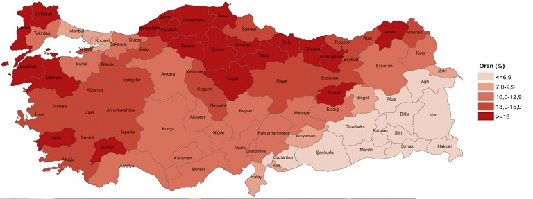 illere-gore-yasli-nufus-2025-tuik-verileri-resim-022.jpg