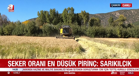 ilgaz-cankiri-sarikilcik-hasadi-resim-0422.jpg