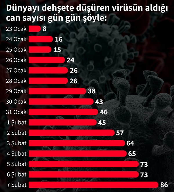 8subatvirusgraf2.jpg