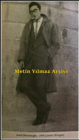 ataol-behramoglu-resim-011.jpg