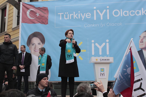 cankiri-meral-aksener-resim-01.jpg