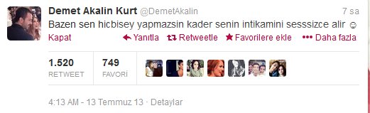 demetakalinkurt-tweet-ebrusalli-sozcu-resim-071.jpg