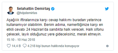 demirtas-tweet-resim-06.jpg